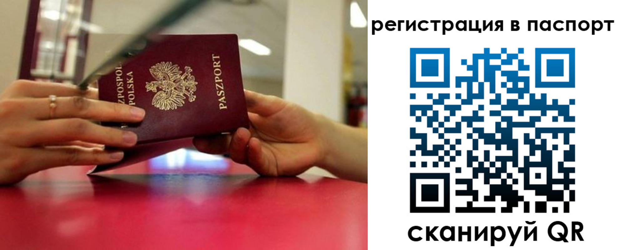 пропишу в квартире в Чкаловске